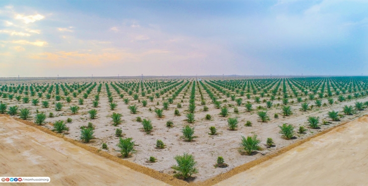le saint sanctuaire Husseinite Ã  kerbala produit les meilleures dattes au monde